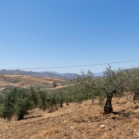 Casa Los Olivos Alora - Caminito Del Rey Luaran gambar